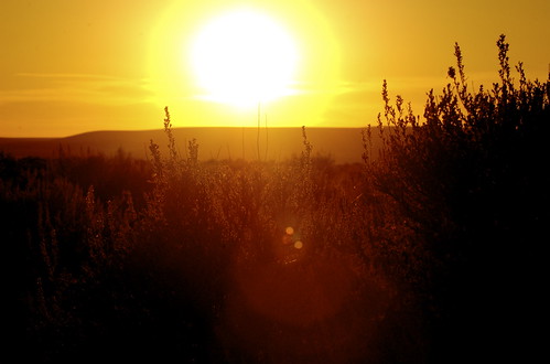 High Desert Evening